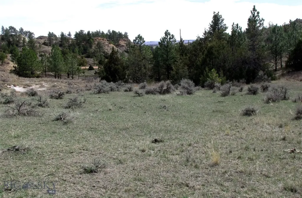 3808 Moon Creek Road Miles City MT 59301