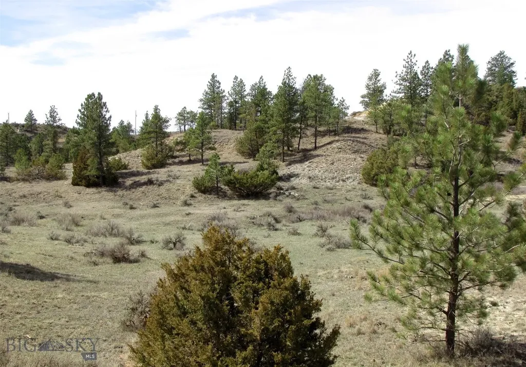 3808 Moon Creek Road Miles City MT 59301