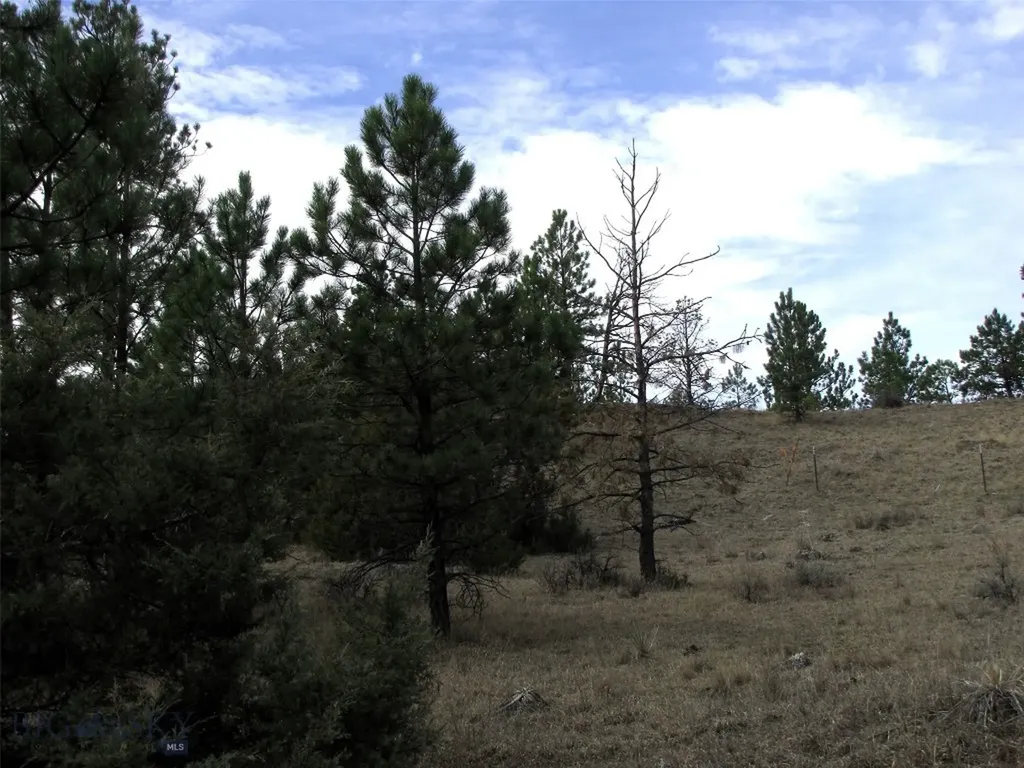 3808 Moon Creek Road Miles City MT 59301