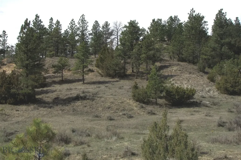 3808 Moon Creek Road Miles City MT 59301