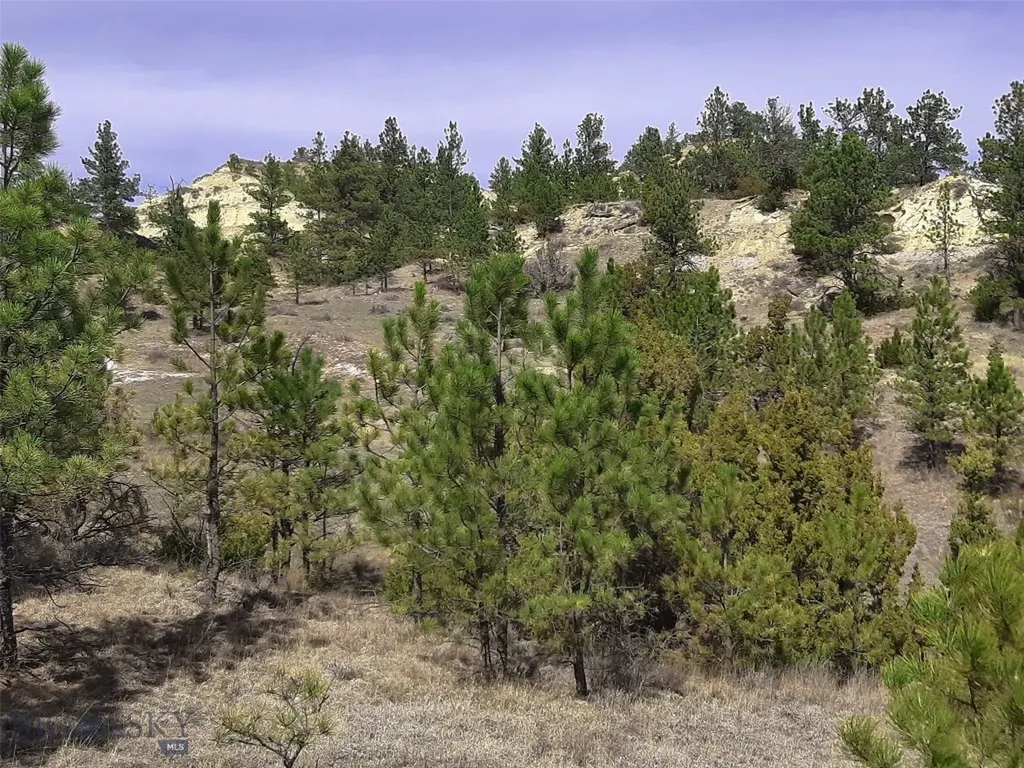 3808 Moon Creek Road Miles City MT 59301