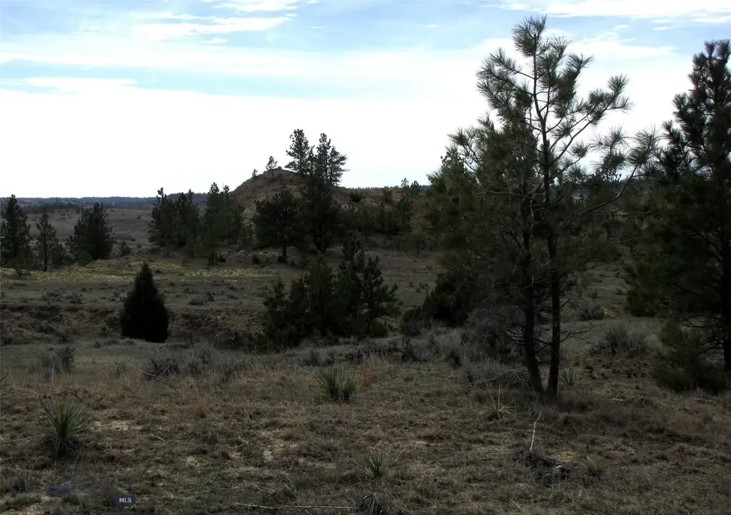 3808 Moon Creek Road Miles City MT 59301