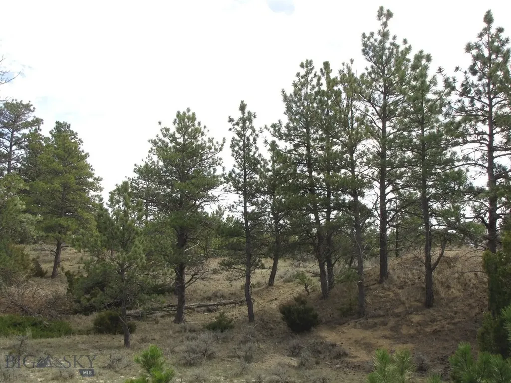 3808 Moon Creek Road Miles City MT 59301
