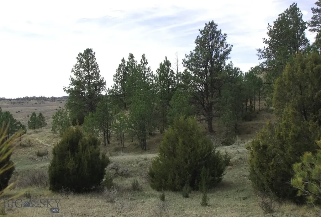 3808 Moon Creek Road Miles City MT 59301