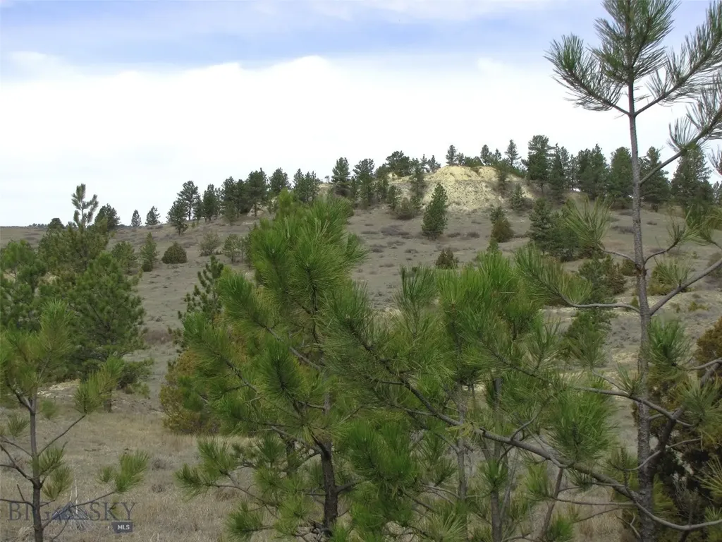 3808 Moon Creek Road Miles City MT 59301