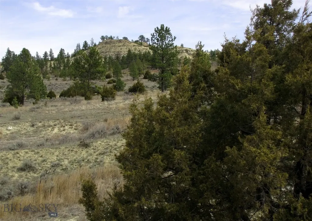 3808 Moon Creek Road Miles City MT 59301