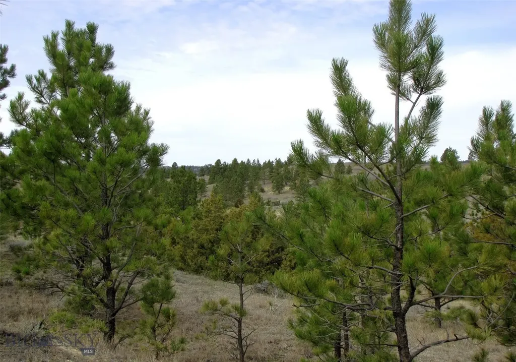 3808 Moon Creek Road Miles City MT 59301