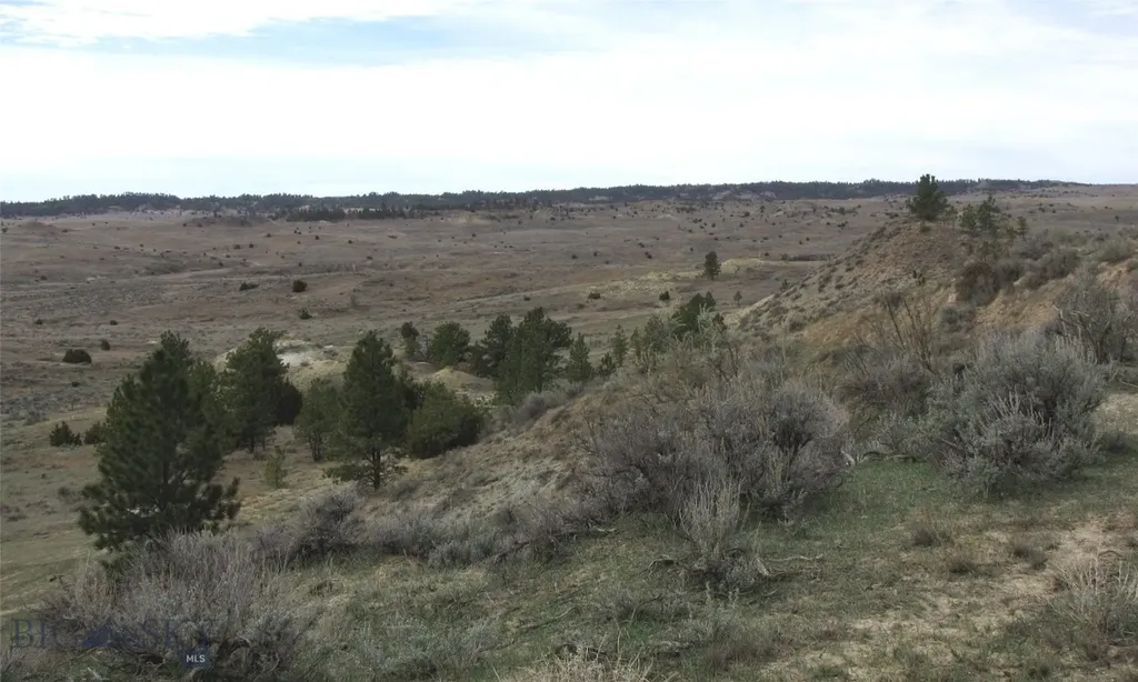 3808 Moon Creek Road Miles City MT 59301