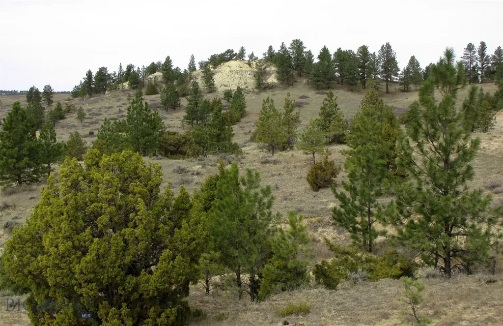 3808 Moon Creek Road Miles City MT 59301