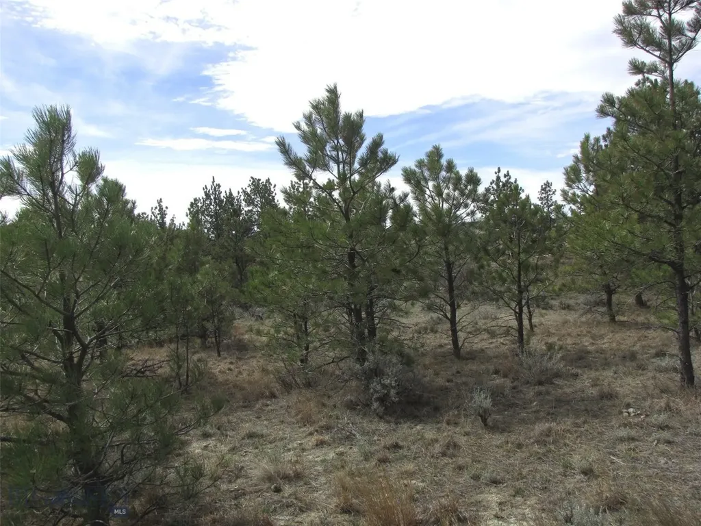 3808 Moon Creek Road Miles City MT 59301