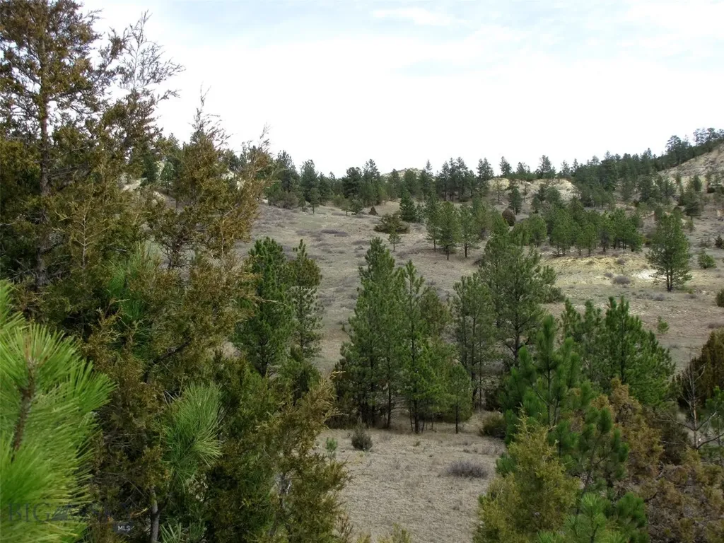 3808 Moon Creek Road Miles City MT 59301