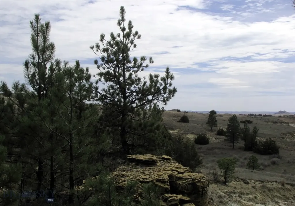 3808 Moon Creek Road Miles City MT 59301