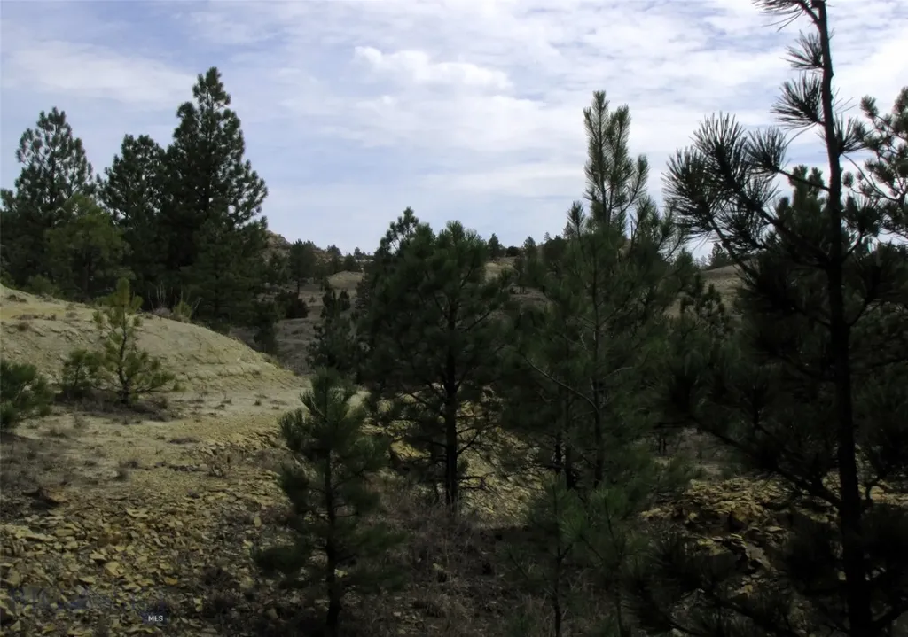 3808 Moon Creek Road Miles City MT 59301