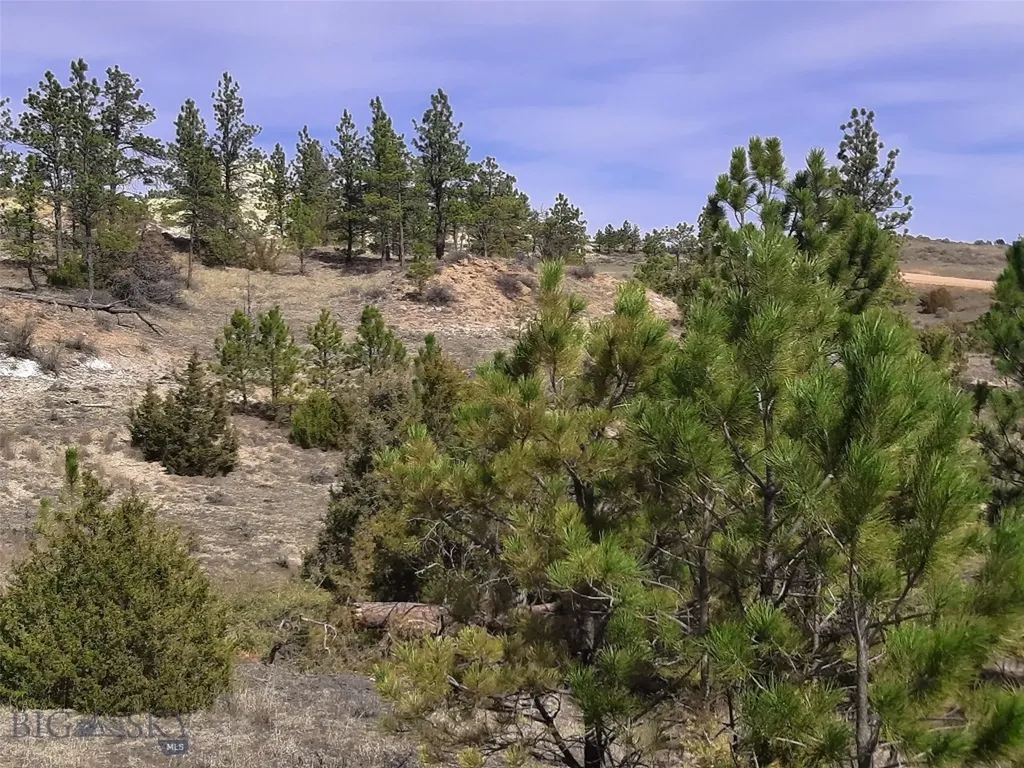 3808 Moon Creek Road Miles City MT 59301