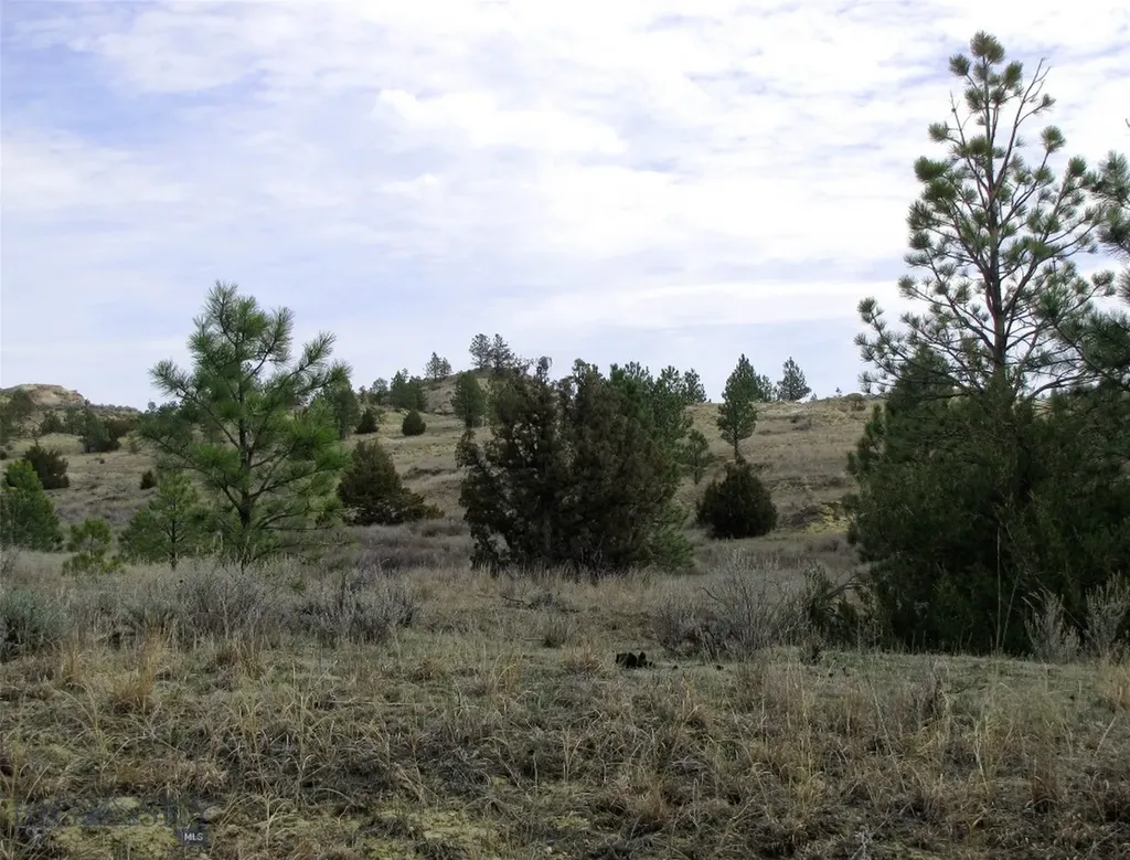 3808 Moon Creek Road Miles City MT 59301