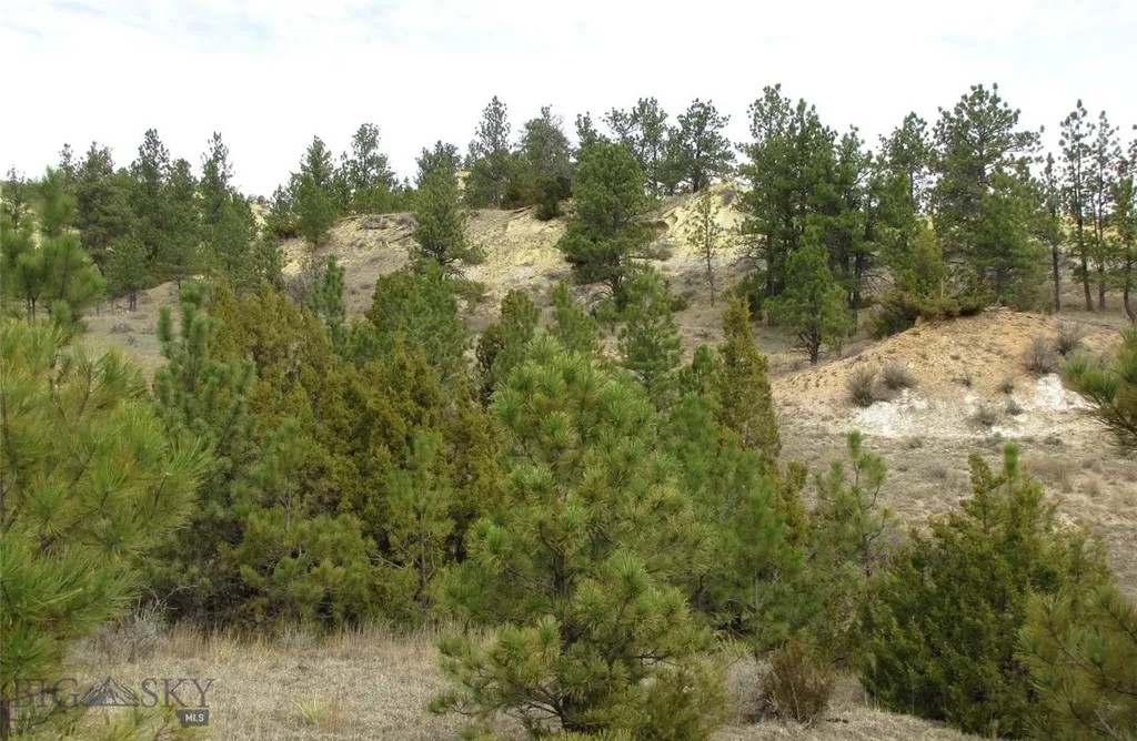3808 Moon Creek Road Miles City MT 59301
