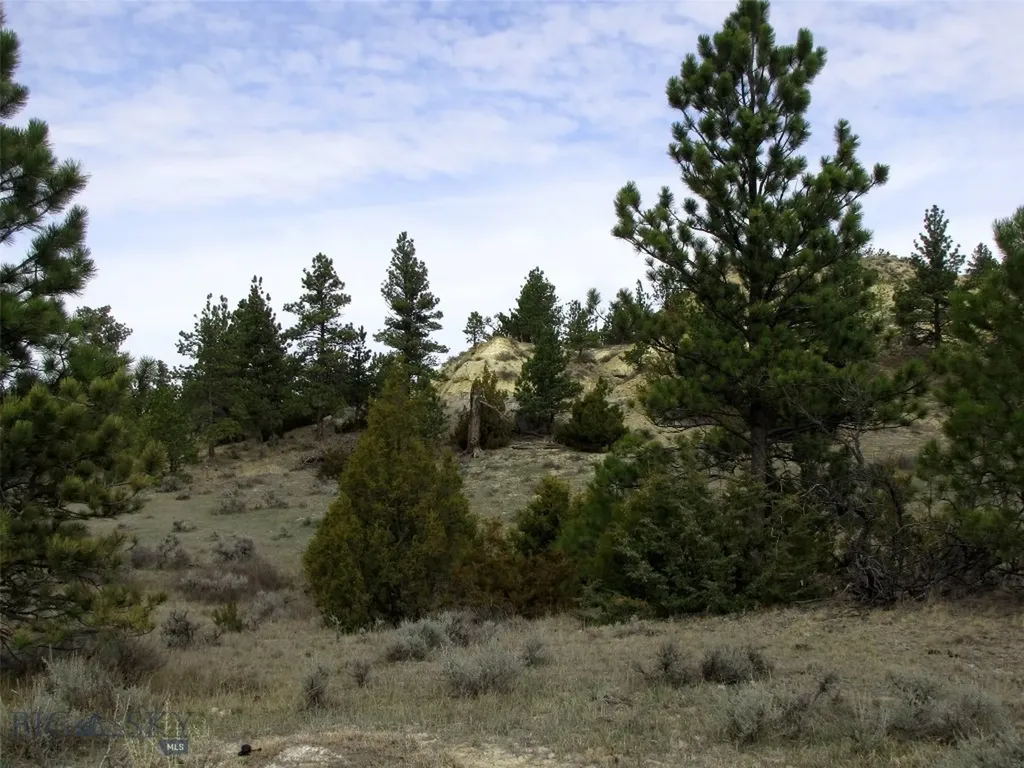 3808 Moon Creek Road Miles City MT 59301