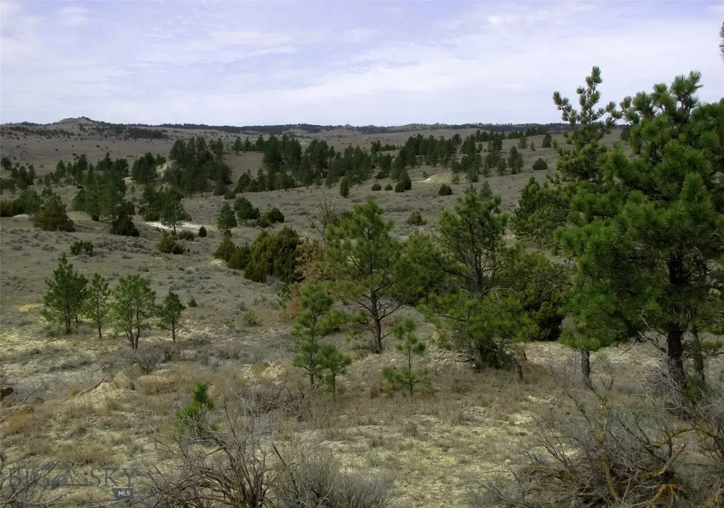 3808 Moon Creek Road Miles City MT 59301