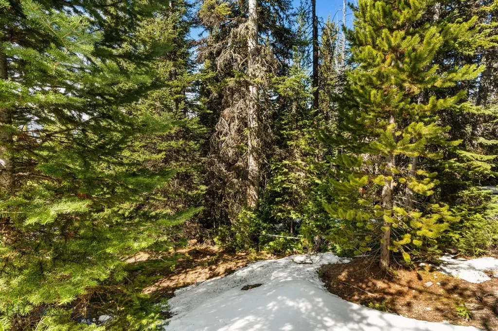 135 Summit View Lot 8 Drive Big Sky MT 59716