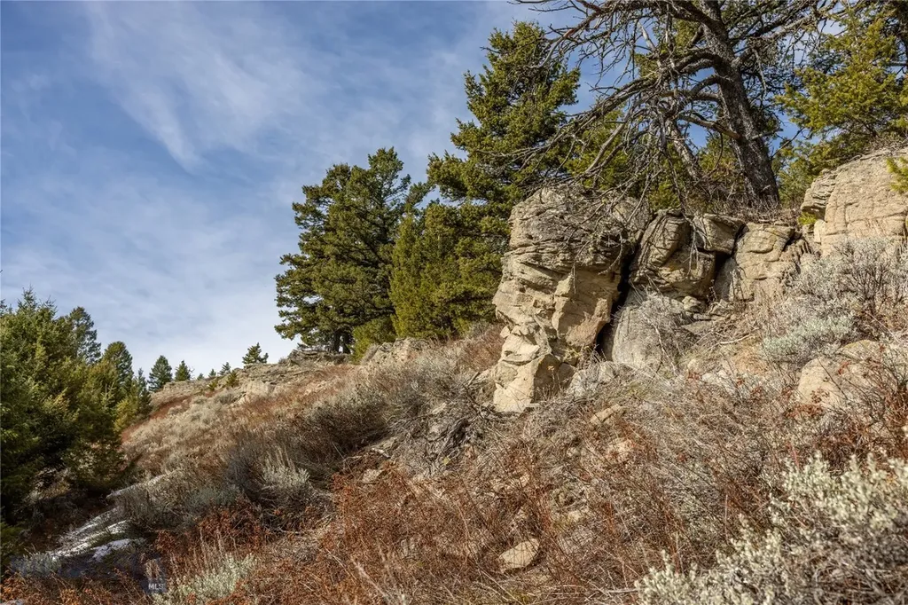 Tbd Sunflower Lane Lot 4 Lane Bozeman MT 59718