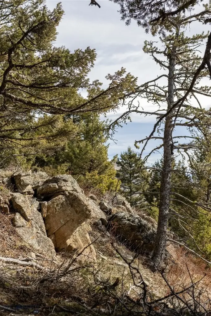 Tbd Sunflower Lane Lot 4 Lane Bozeman MT 59718