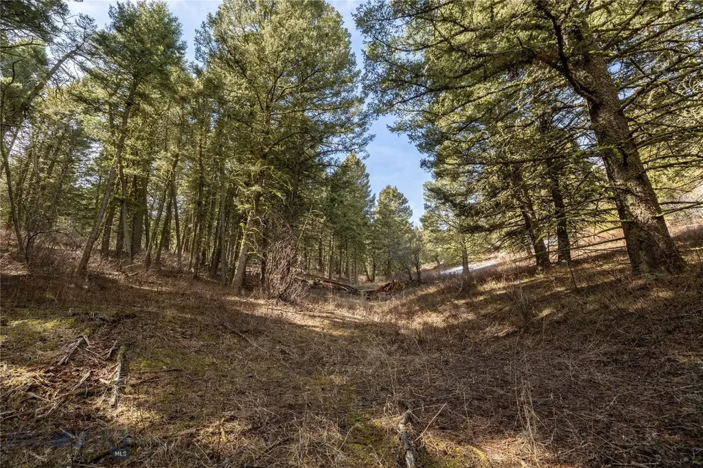 Tbd Sunflower Lane Lot 4 Lane Bozeman MT 59718