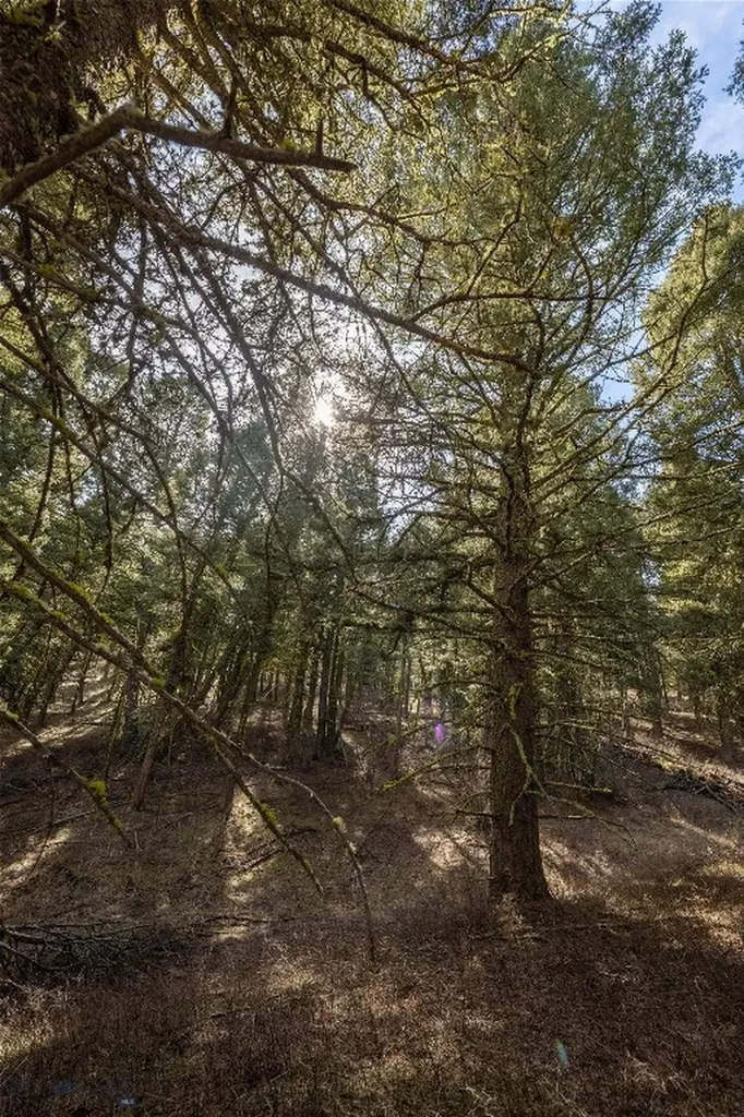 Tbd Sunflower Lane Lot 4 Lane Bozeman MT 59718