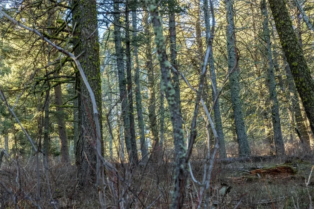 Tbd Sunflower Lane Lot 4 Lane Bozeman MT 59718