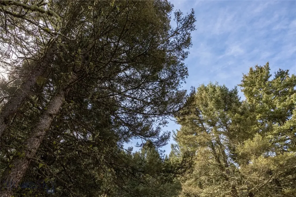Tbd Sunflower Lane Lot 4 Lane Bozeman MT 59718