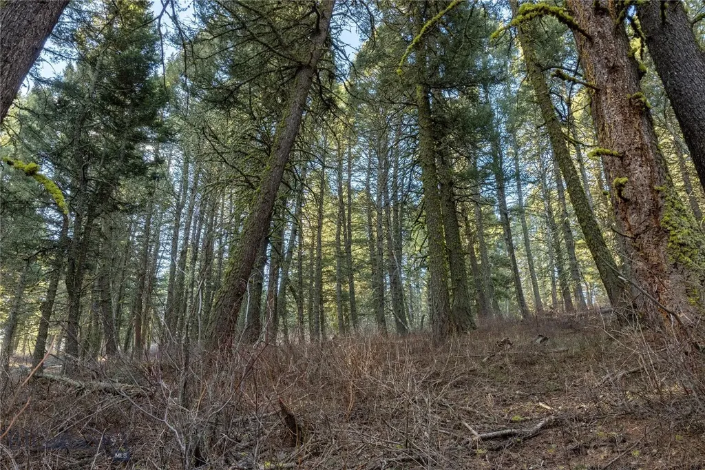 Tbd Sunflower Lane Lot 4 Lane Bozeman MT 59718