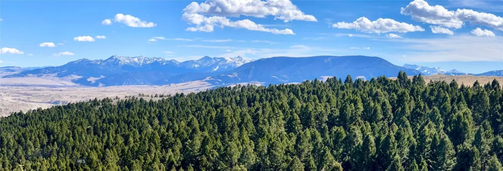Tbd Sunflower Lane Lot 4 Lane Bozeman MT 59718