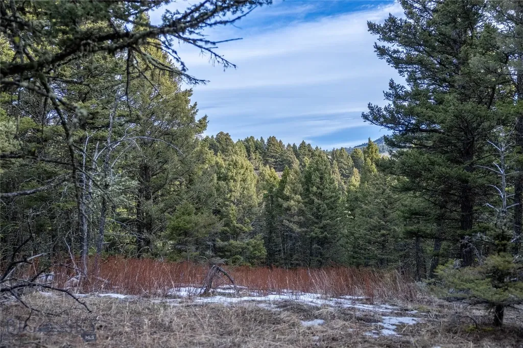 Tbd Sunflower Lane Lot 4 Lane Bozeman MT 59718