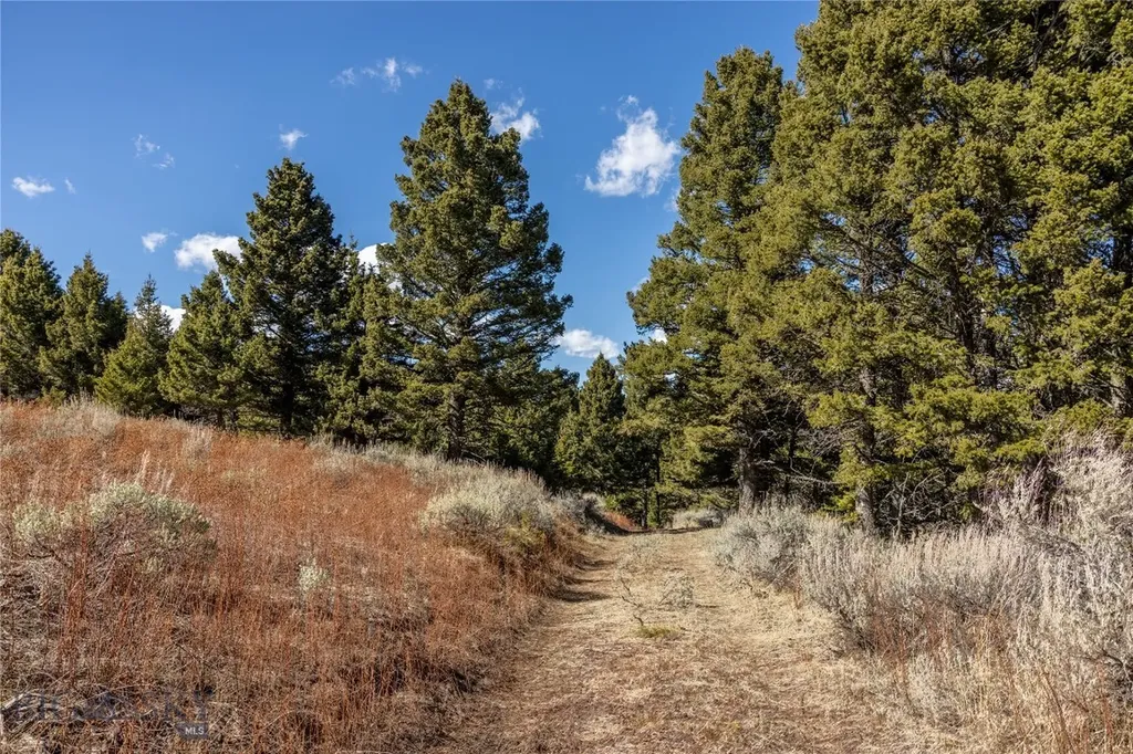 Tbd Sunflower Lane Lot 4 Lane Bozeman MT 59718