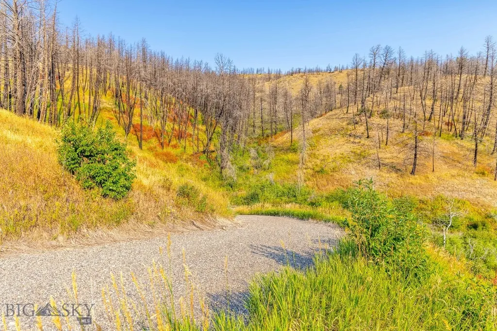 111 Bridger Spring Trail Bozeman MT 59715