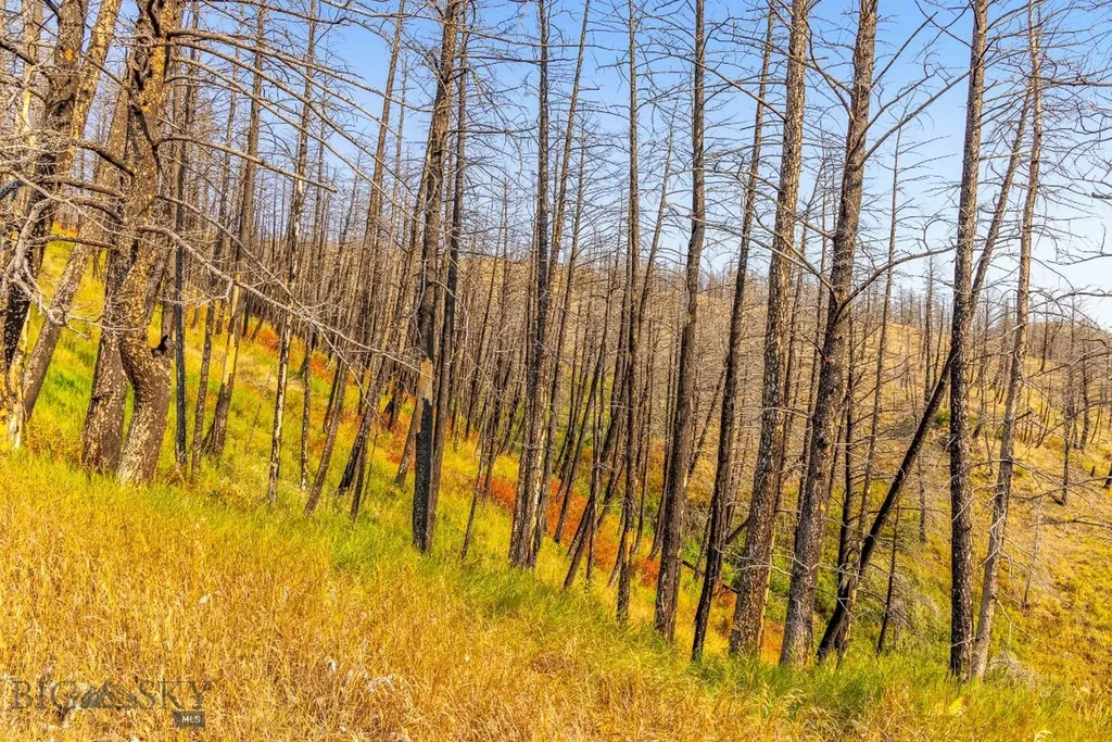 111 Bridger Spring Trail Bozeman MT 59715