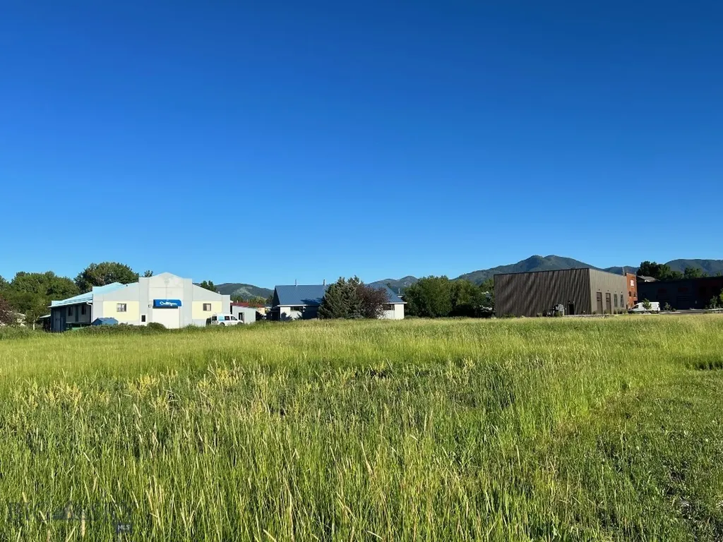 710 Osterman Bozeman MT 59715