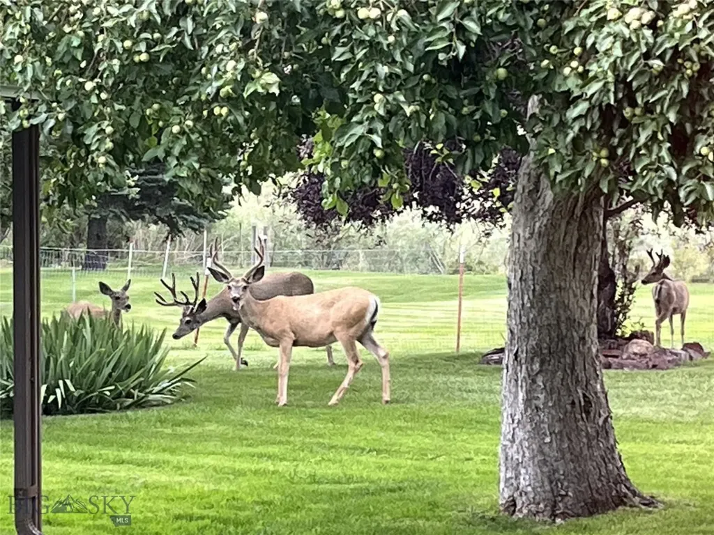 71 Seibold Lane Cascade MT 59421