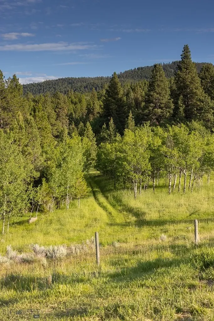 587 Cozy Lane Helmville MT 59843