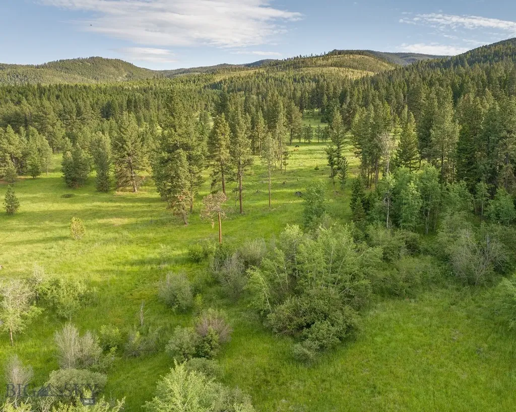 587 Cozy Lane Helmville MT 59843