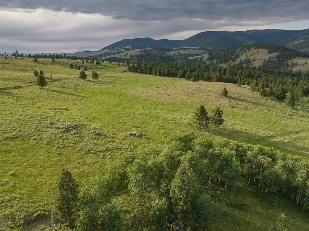 587 Cozy Lane Helmville MT 59843