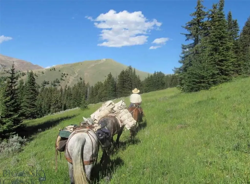 1855 Middle Fork Little Sheep Creek Road Lima MT 59739
