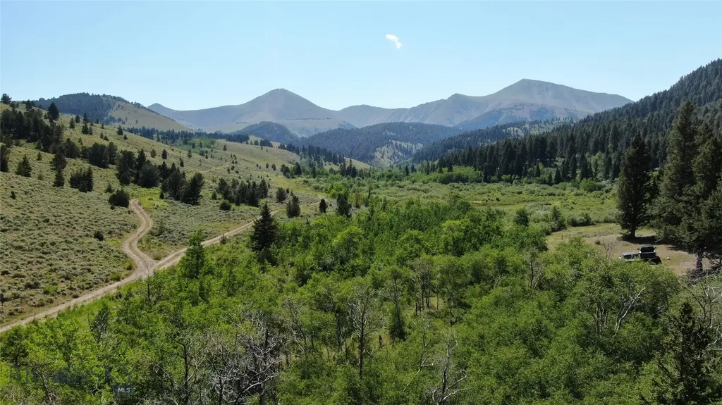 1855 Middle Fork Little Sheep Creek Road Lima MT 59739