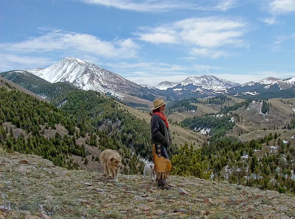 1855 Middle Fork Little Sheep Creek Road Lima MT 59739