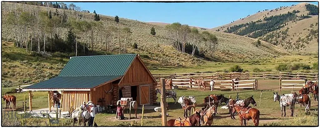 1855 Middle Fork Little Sheep Creek Road Lima MT 59739