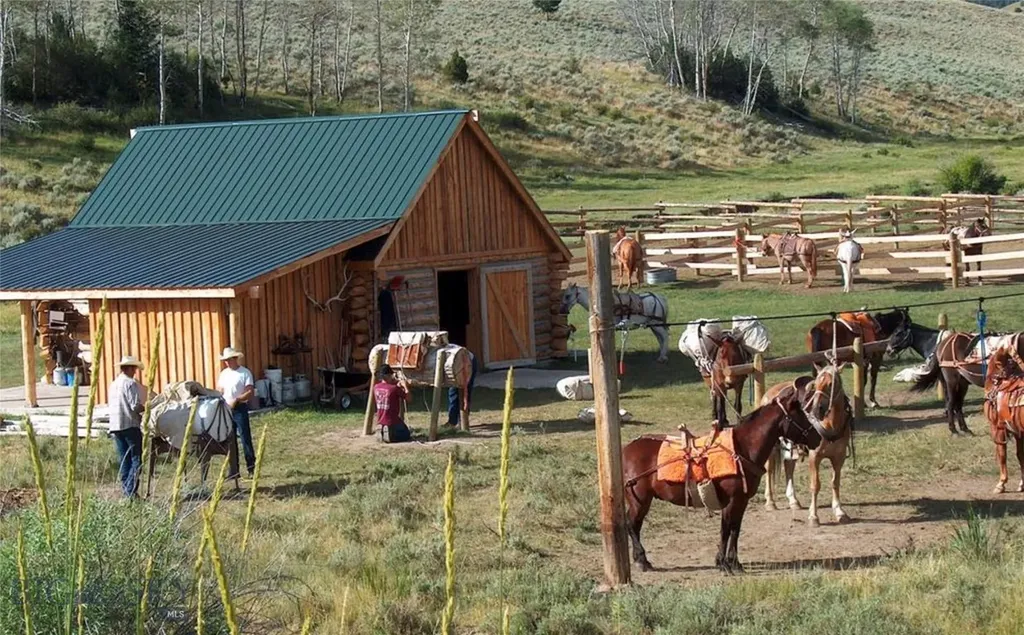 1855 Middle Fork Little Sheep Creek Road Lima MT 59739