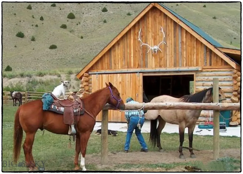 1855 Middle Fork Little Sheep Creek Road Lima MT 59739