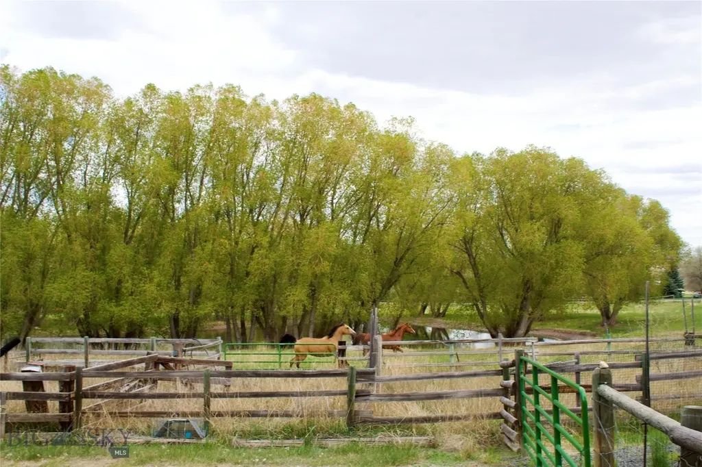 Whitehall MT 59759