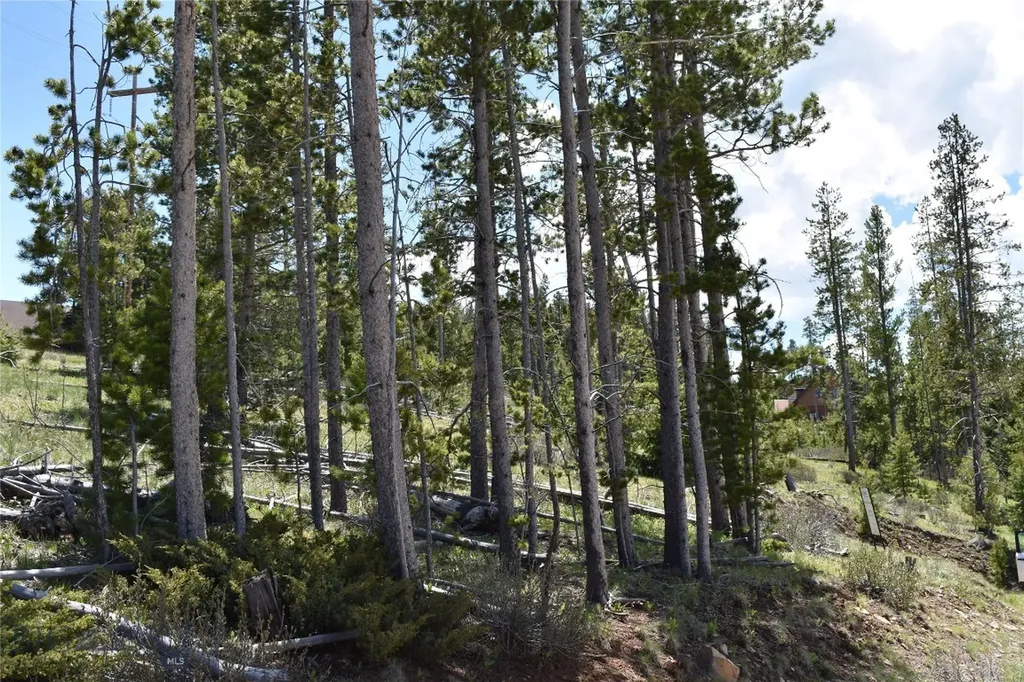 16 Mule Deer Lane Anaconda MT 59711