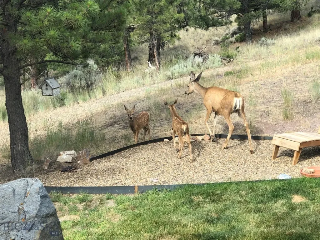 8235 Evergreen Drive Helena MT 59602