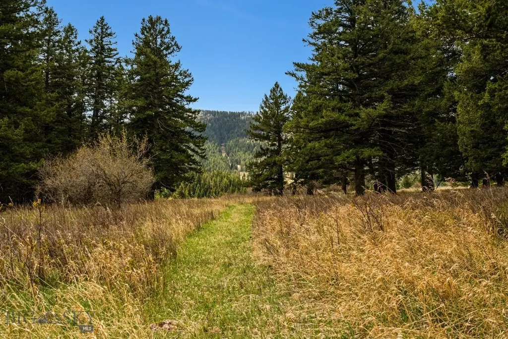 455 Harrison Meadow Bozeman MT 59715